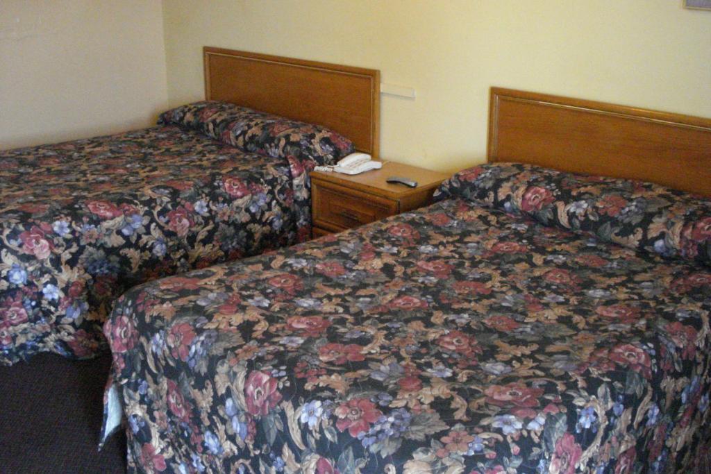 Eastcourt London Motel 部屋 写真